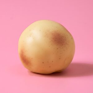 Crunchy potato squishy with brown speckled skin