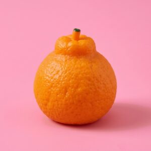 Orange crunchy tangerine squishy with a stem on top
